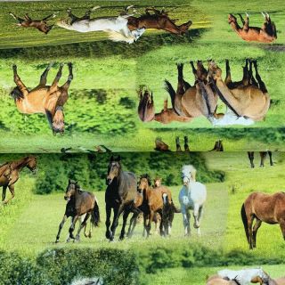 Dekorációs anyag Horses in Meadow digital print